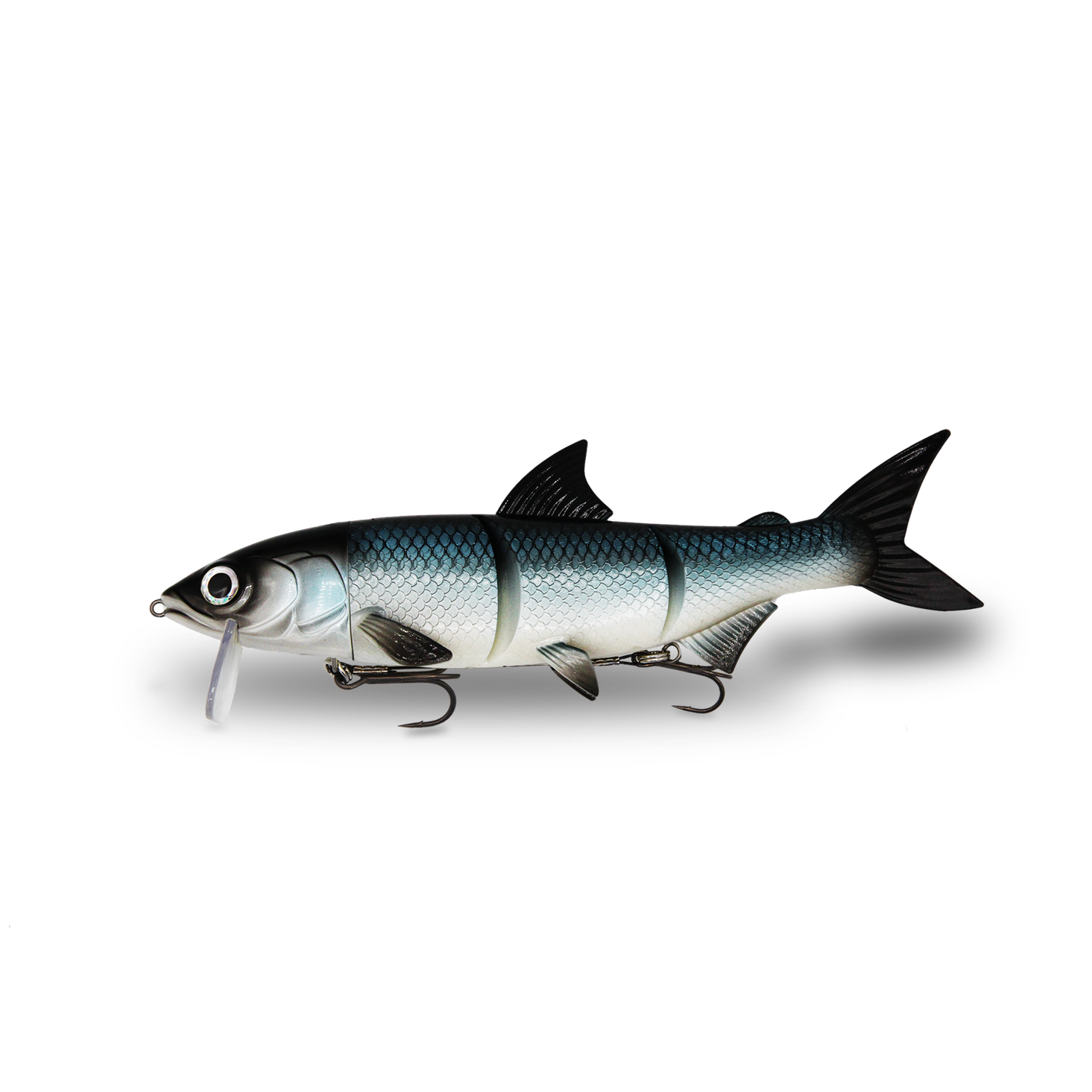 Fishing Ghost – Renky One