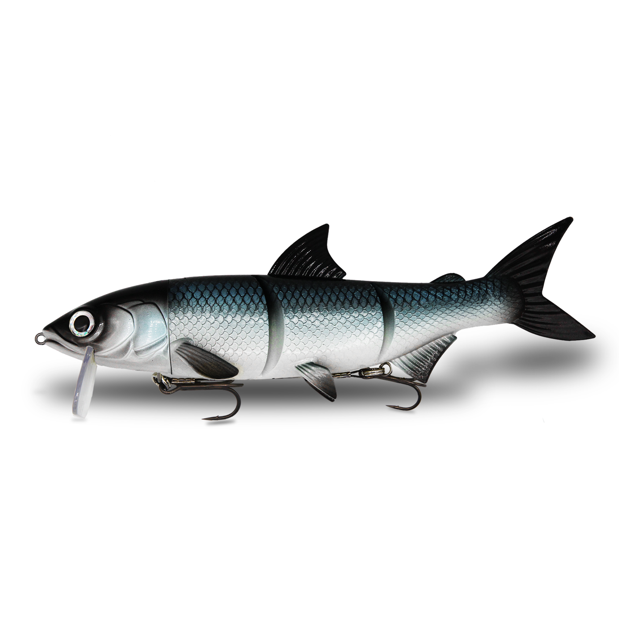 Fishing Ghost – Renky One