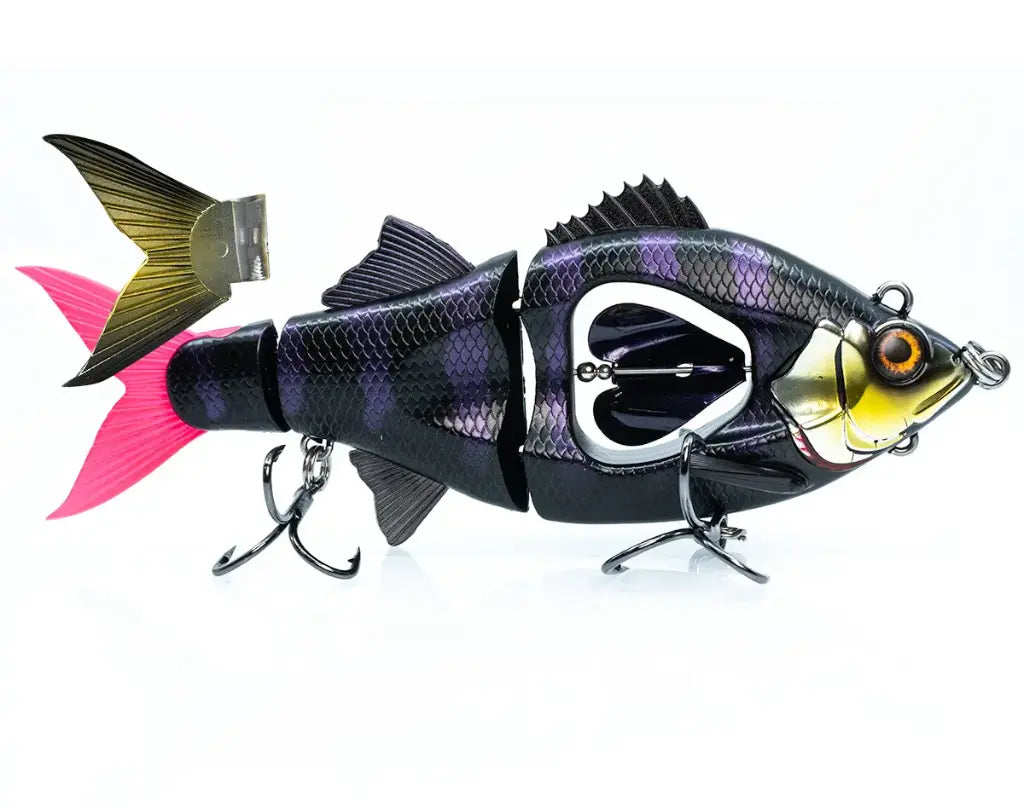 685163cdb7b0b.png