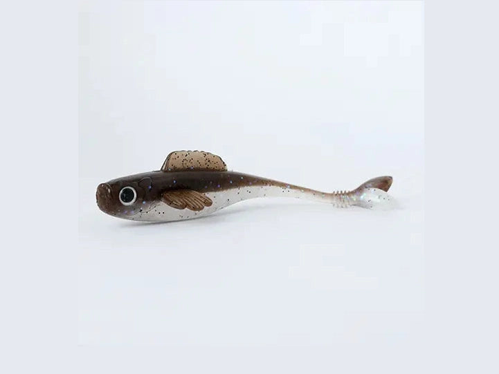 68529a0c0ddd4.png