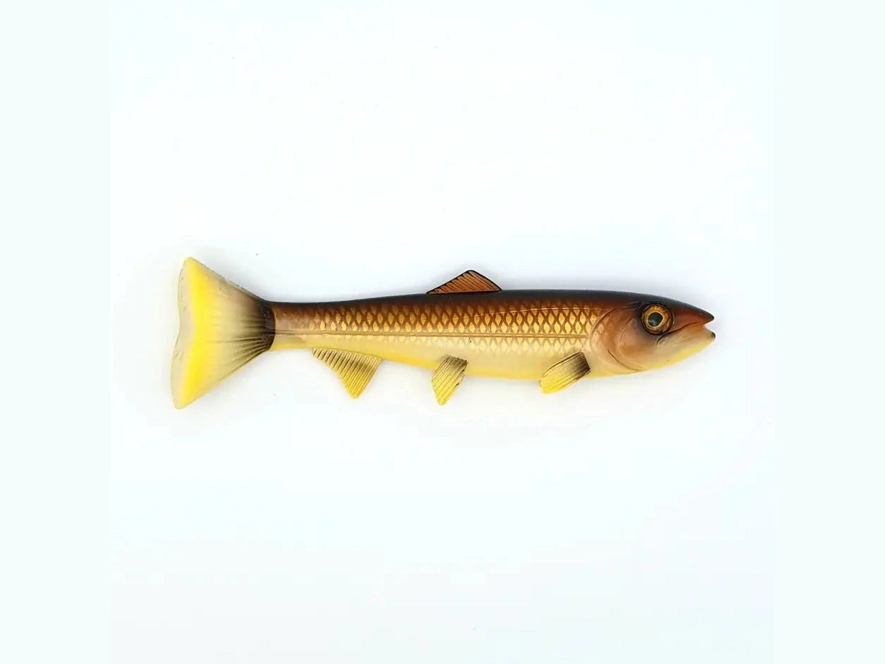 68529d8742f60.png