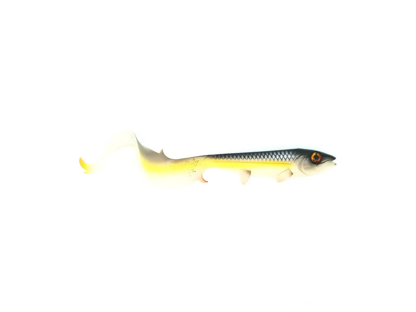 6852a1064b02c.png