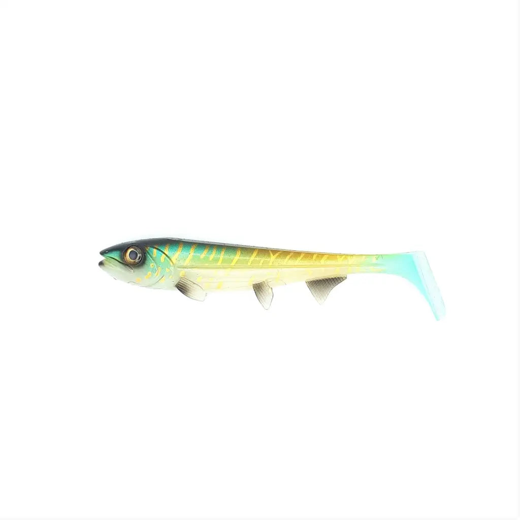 685e381a1a2a3.png