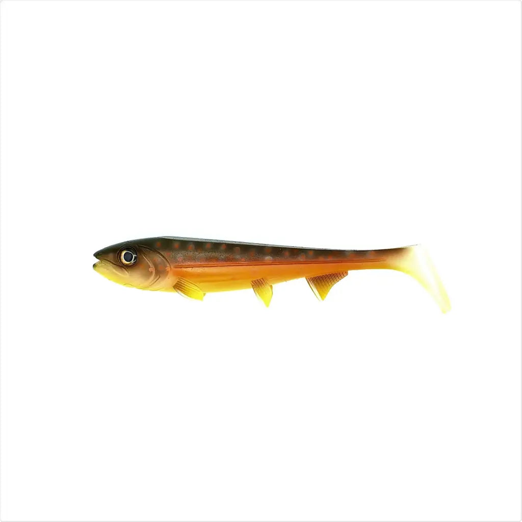 685e381a3e72c.png