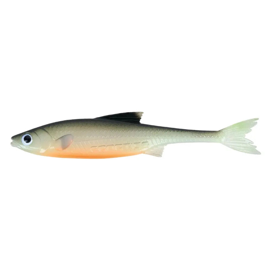 685e3a6f4f15c.png