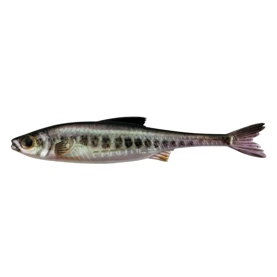 685e3a6f5922f.png