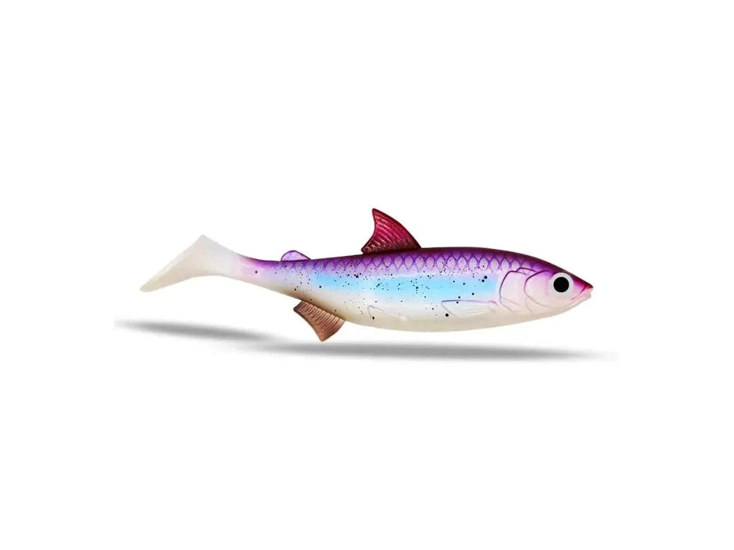 685e3b98483a8.png