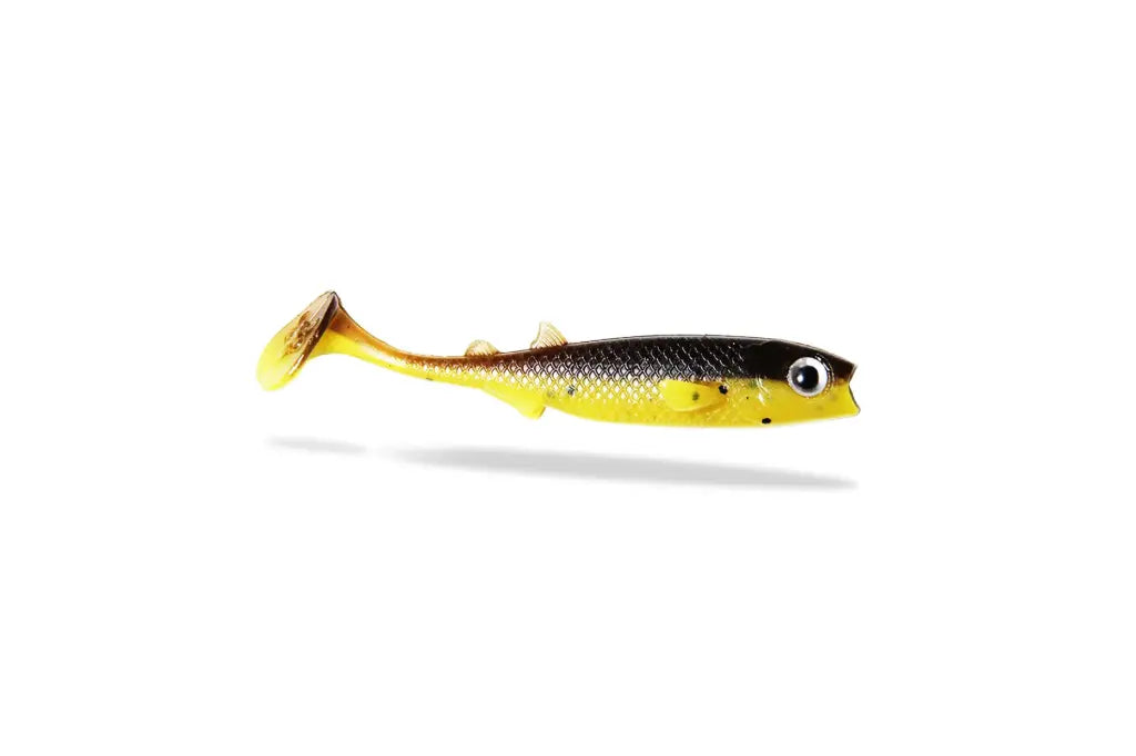 685e3b989838c.png