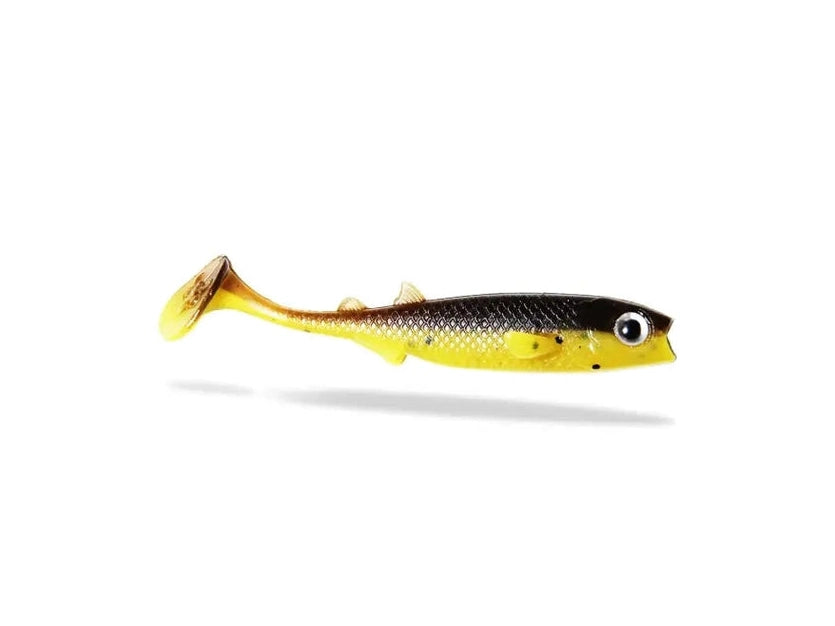 685e3b989838c.png