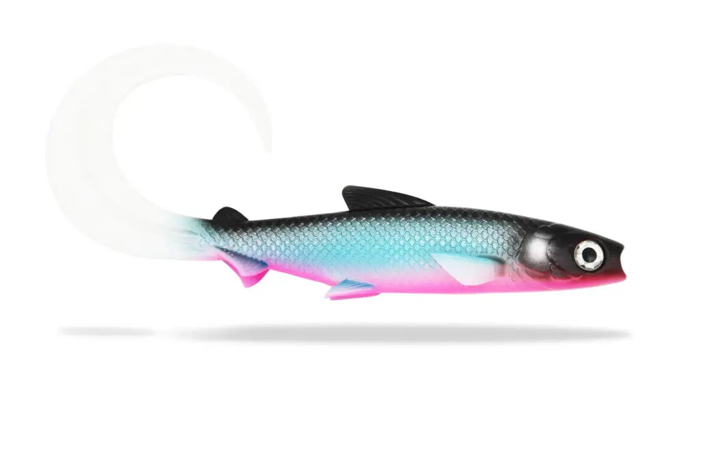685e3cbdd156a.png