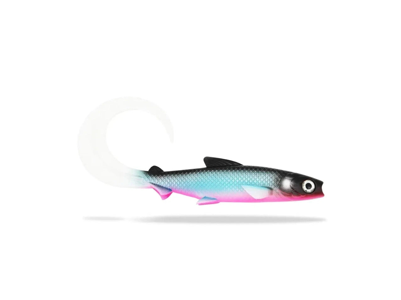 685e3cbdd156a.png