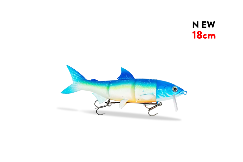 6887783a35db1.png
