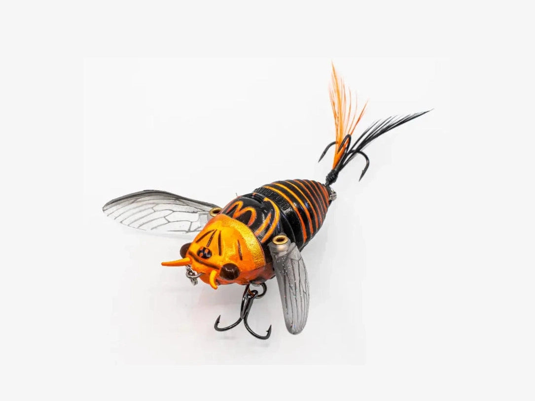 Chasebaits – Ripple Cicada