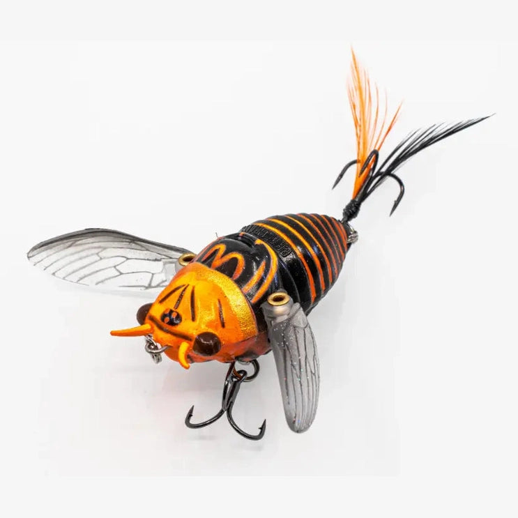 Chasebaits – Ripple Cicada