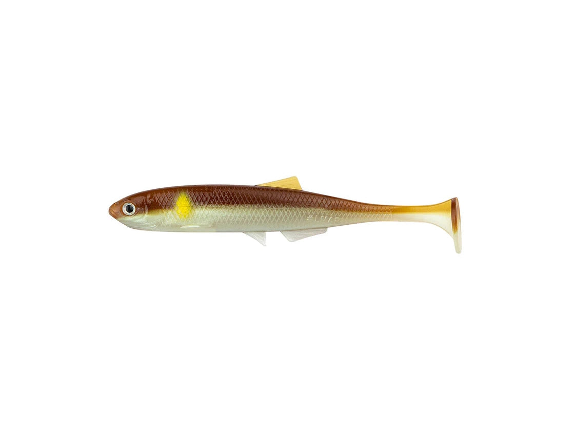 LMAB - KØFI Bleak Shad
