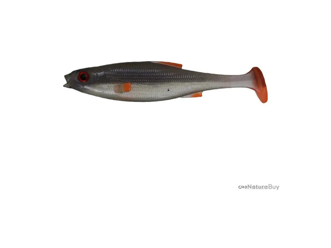 LMAB - KØFI Roach Shad