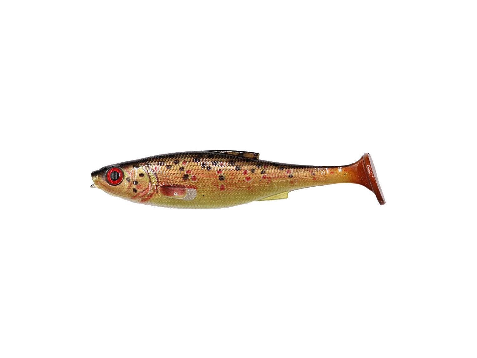 LMAB - KØFI Roach Shad