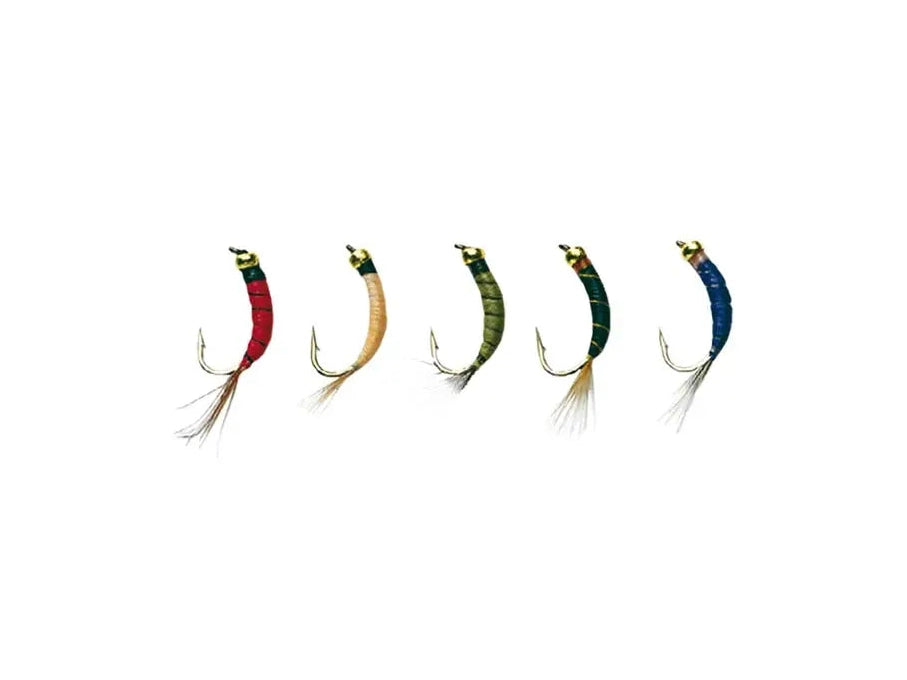 Stucki - Goldheadtail