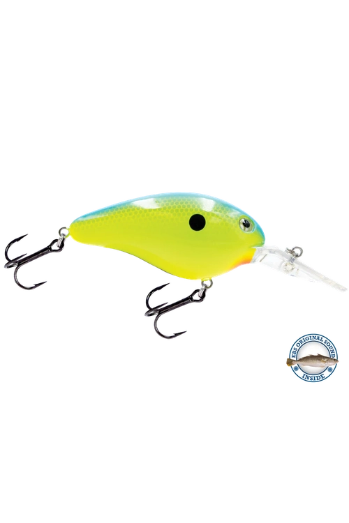 Livingston - Dive Master 14