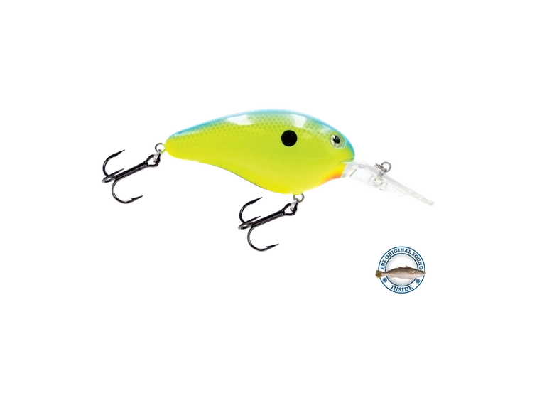 Livingston - Dive Master 14