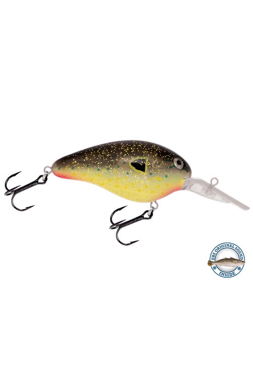 Livingston - Dive Master 14