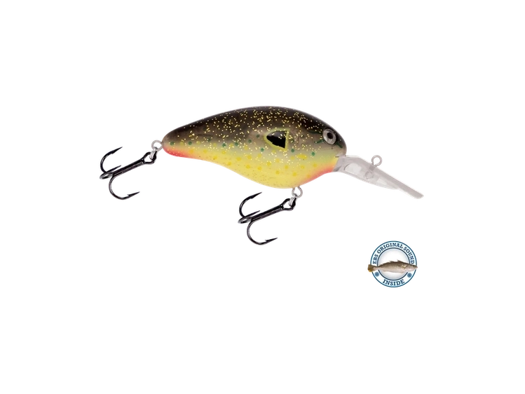 Livingston - Dive Master 14