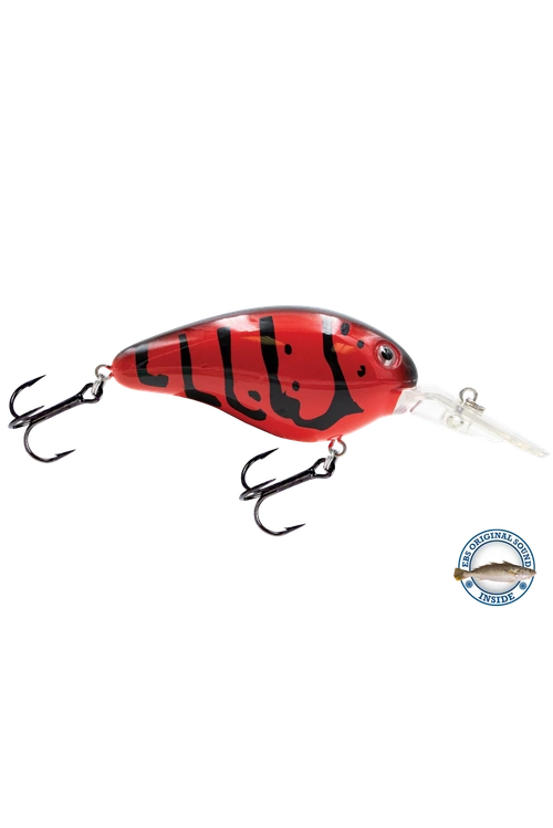 Livingston - Dive Master 14