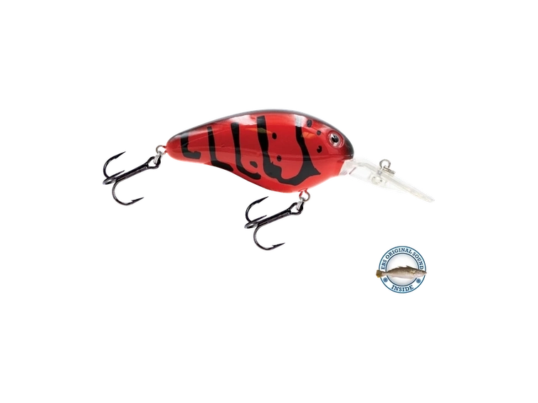 Livingston - Dive Master 14