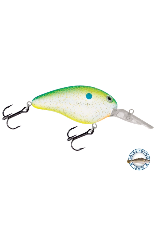 Livingston - Dive Master 14