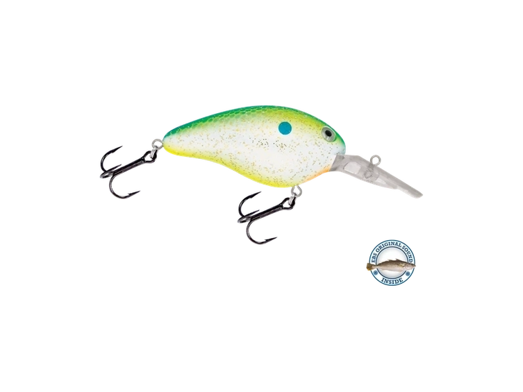 Livingston - Dive Master 14