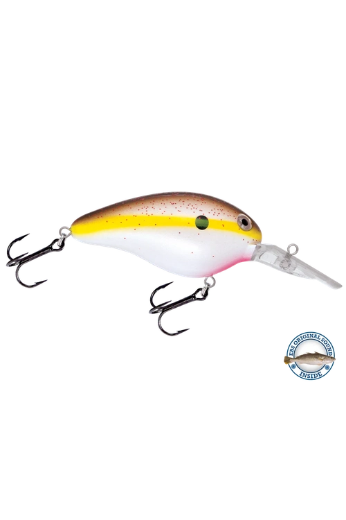 Livingston - Dive Master 14