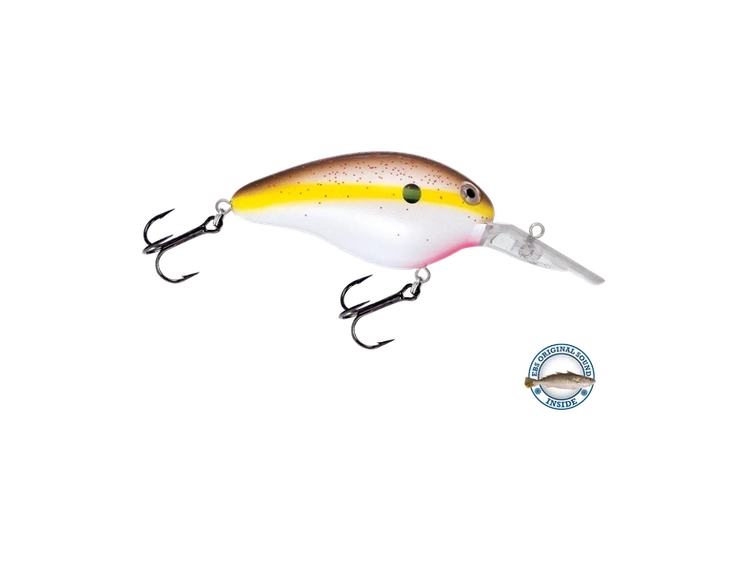 Livingston - Dive Master 14