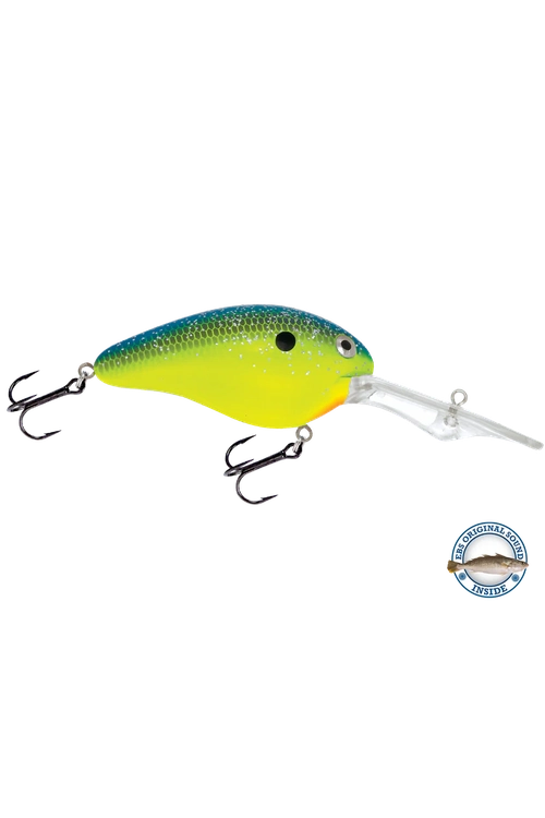 Livingston - Dive Master 20