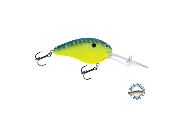 Livingston - Dive Master 20