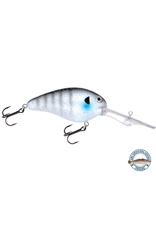 Livingston - Dive Master 20