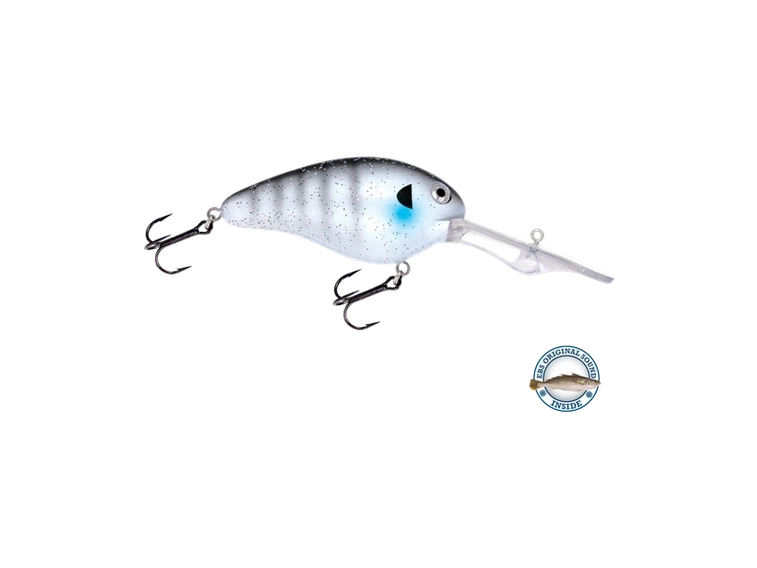 Livingston - Dive Master 20
