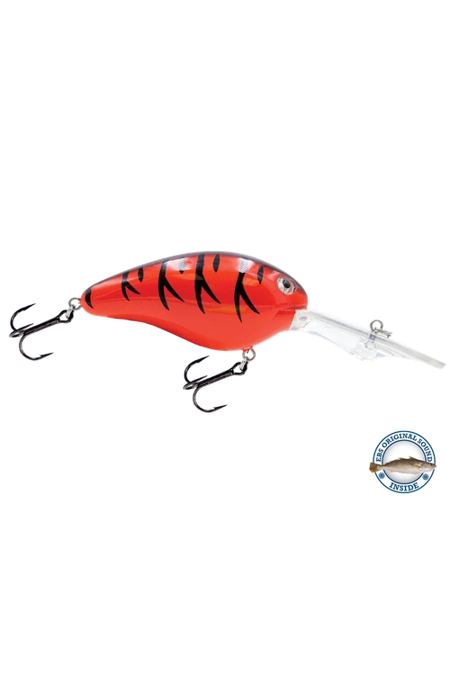 Livingston - Dive Master 20