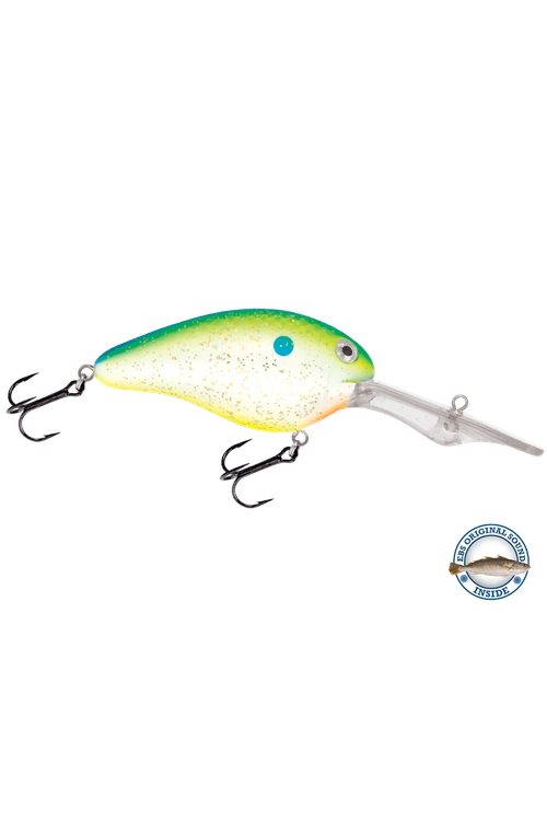 Livingston - Dive Master 20