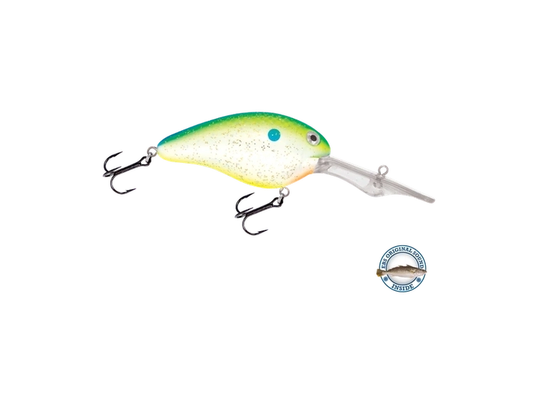 Livingston - Dive Master 20