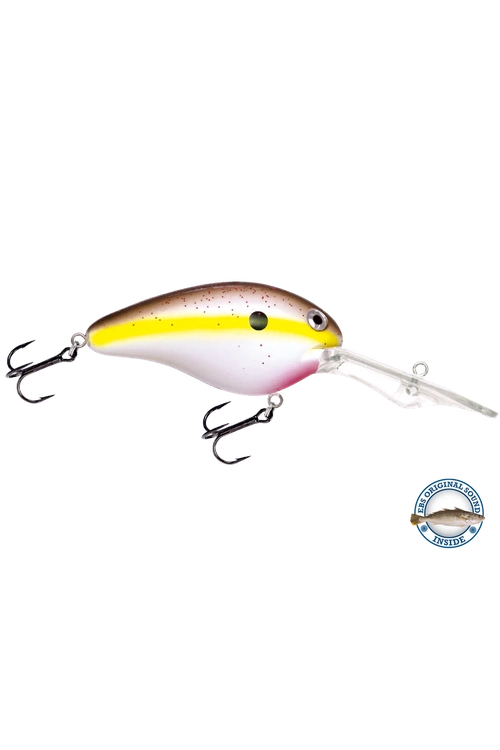 Livingston - Dive Master 20