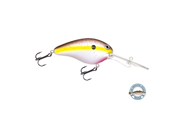 Livingston - Dive Master 20