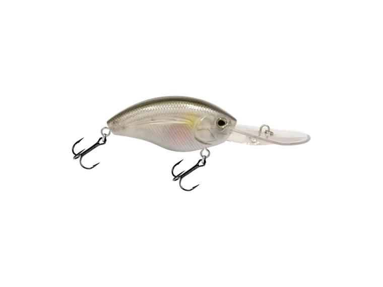 Livingston - Howeller DMC Plus