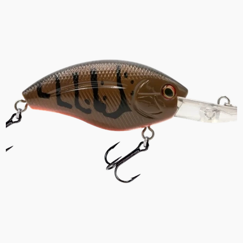 Livingston - Howeller DMC Plus