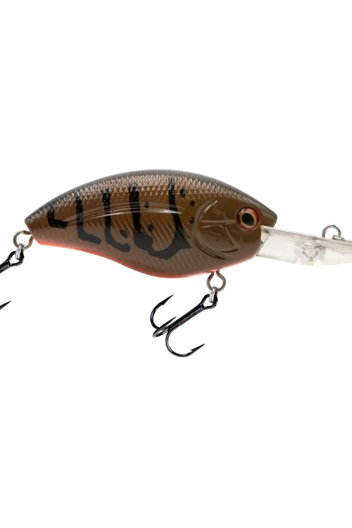 Livingston - Howeller DMC Plus