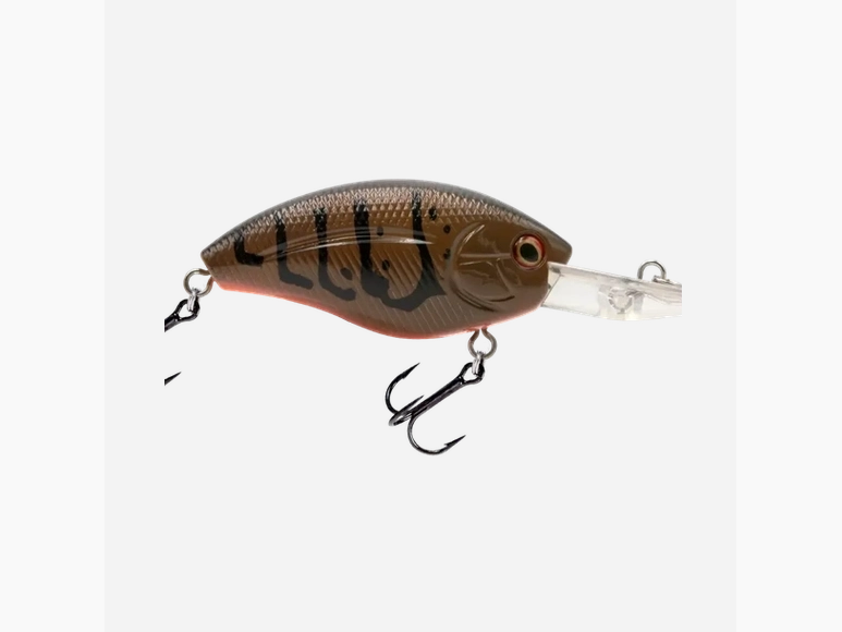 Livingston - Howeller DMC Plus