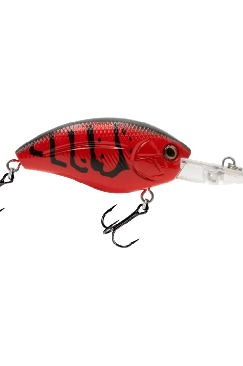 Livingston - Howeller DMC Plus