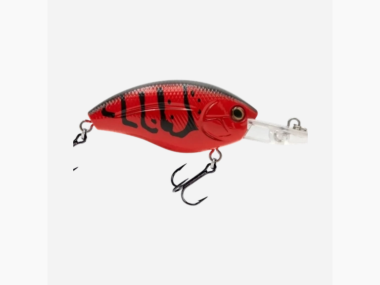 Livingston - Howeller DMC Plus