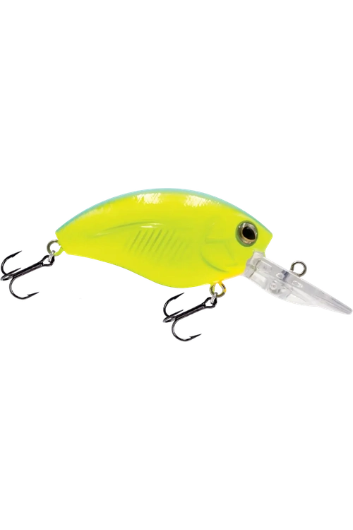 Livingston - Howeller DMC JR