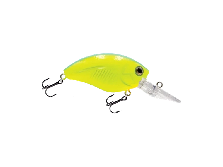 Livingston - Howeller DMC JR
