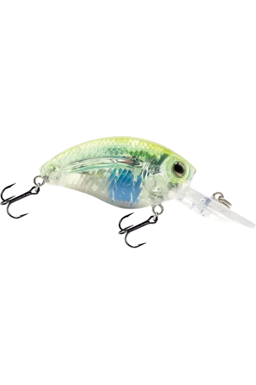 Livingston - Howeller DMC JR